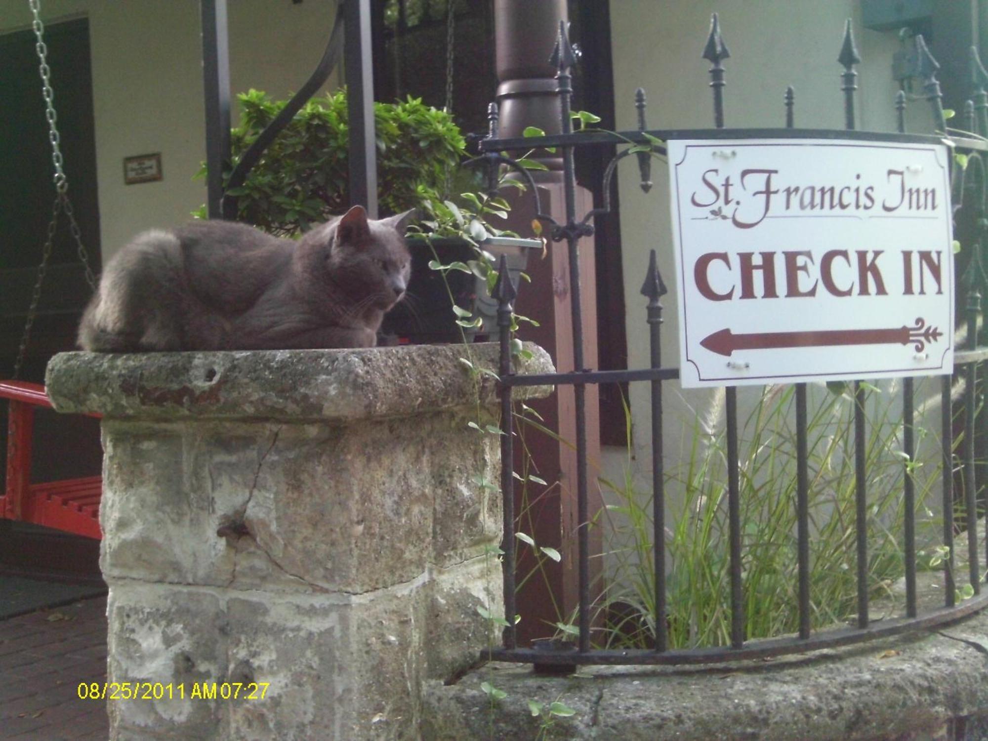 St. Francis Inn - Saint Augustine Kültér fotó